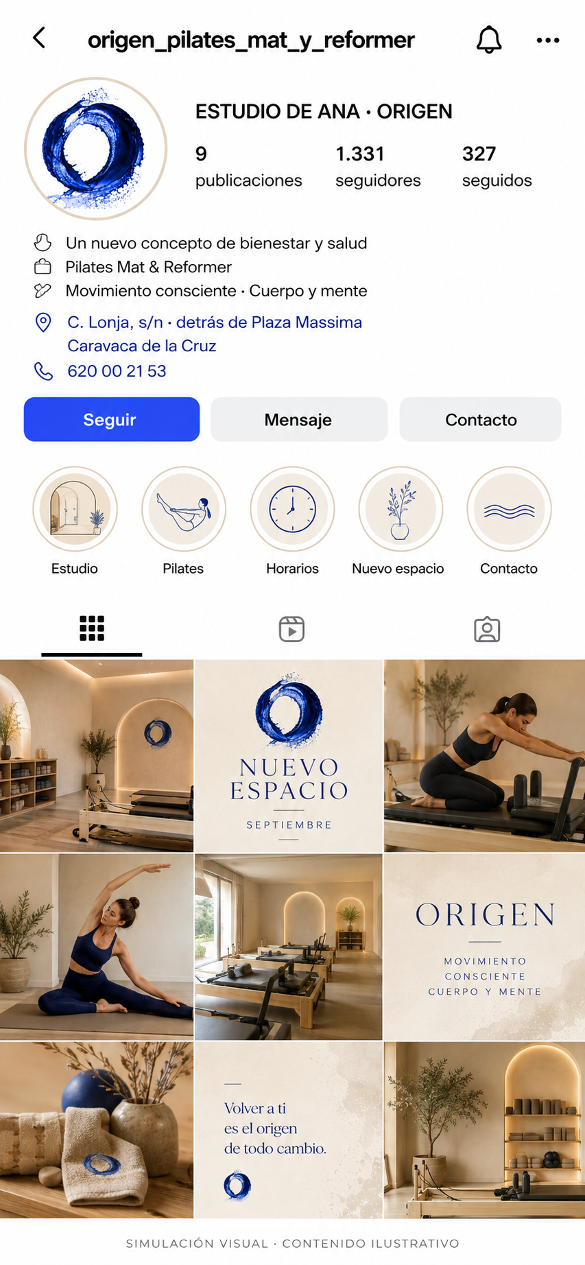 Simulación del futuro perfil de Instagram de Estudio de Ana Origen
